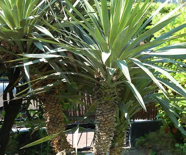 Bed & Breakfast Chaleemar Bruges